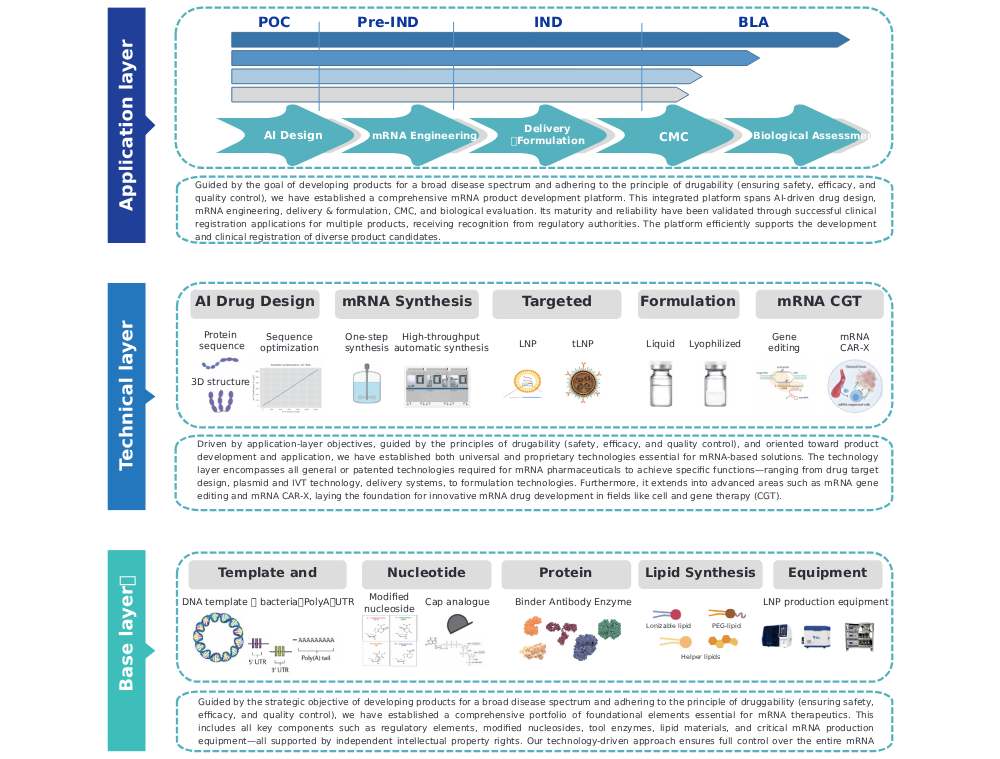 20260320537124.png mRNA技术平台英文版-20260316.png